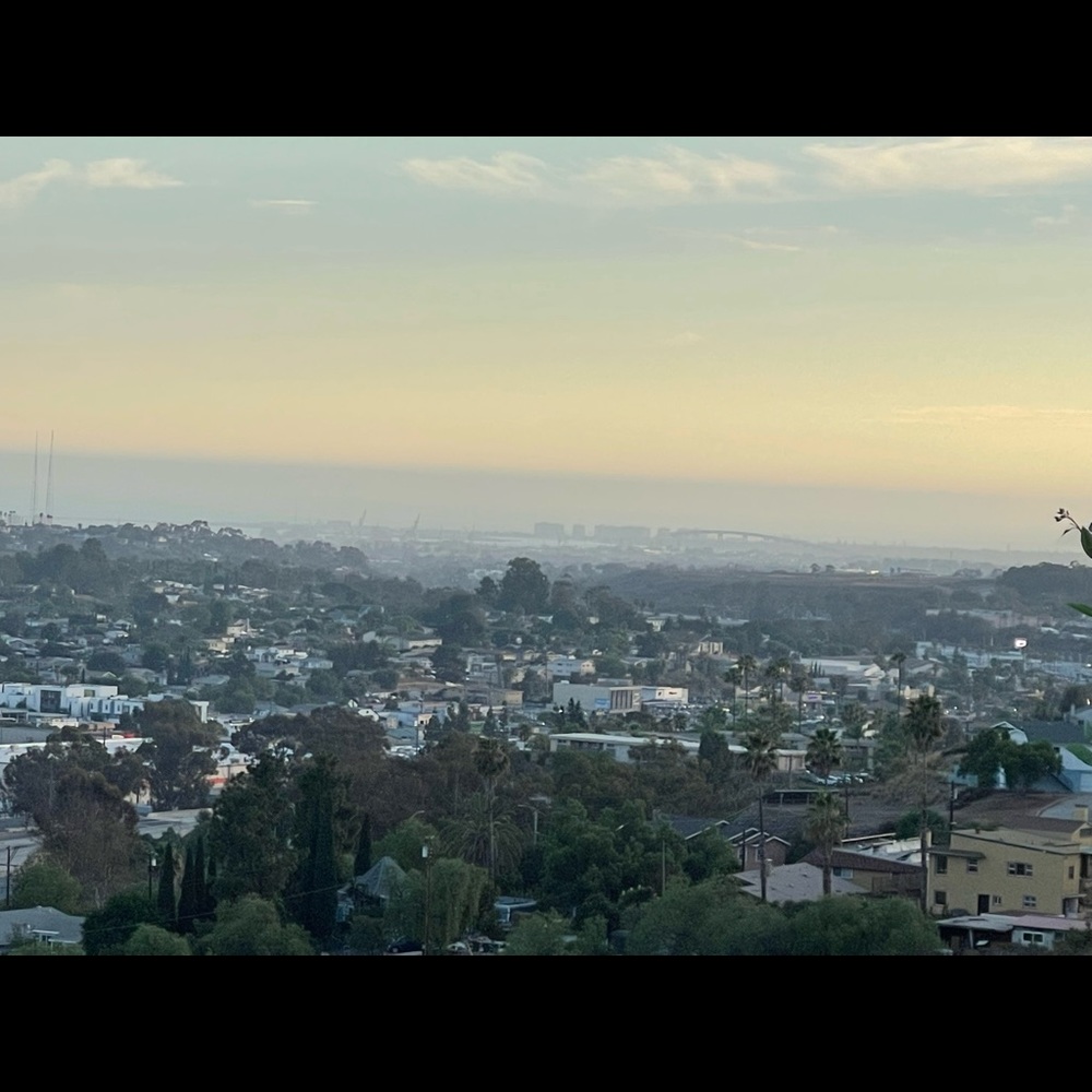 Meet your Posher, Annalise